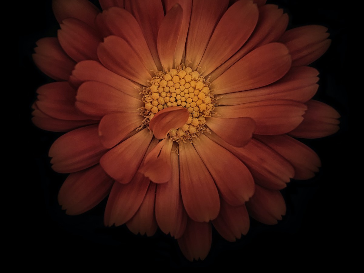 Vol. 1 – Mediated Mobilities: Negotiating&nbsp;Identities